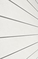 Сайдинг CEDRAL click smooth (гладкий) С01 (Белый минерал)